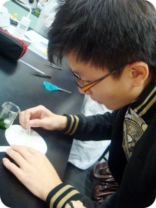 wooryan's profile picture. As for me and my family, we will serve the LORD - Joshua 24:15