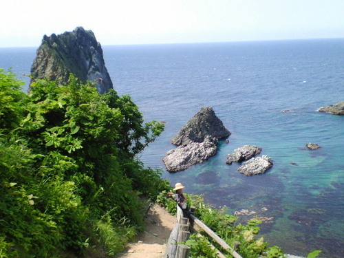 declaration's profile picture. 