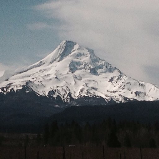 AbrahmsJon's profile picture. #XMR #BTC #DGB 
I am more woke than you.