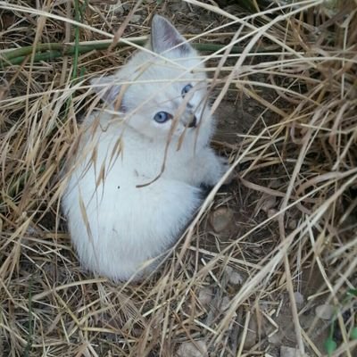 nuriasallent's profile picture. 