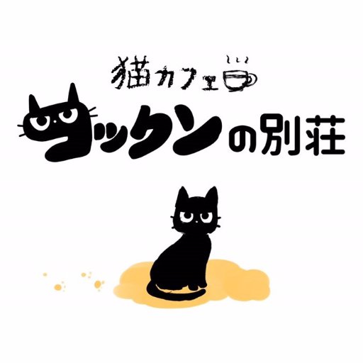 『コックンの別荘』です！東京(八王子)と神奈川(海老名)にある猫カフェ🐱✨小田急線・横浜線沿線にお住いの方々は是非遊びに来てください！コックンとゆかいな仲間達が皆さんをお待ちしております！※お問合わせはHPよりお願い致します。