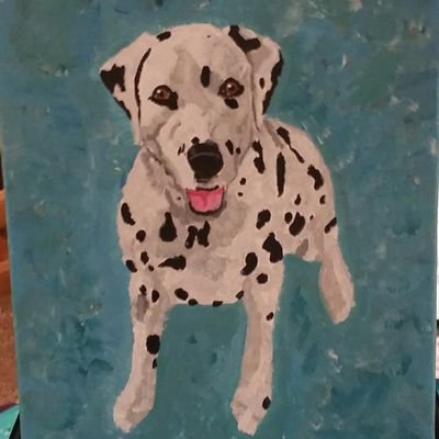 carejeansams's profile picture. Every day adventure found in the most wonderful of ways