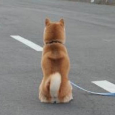 Qektd8gWrXUl7O6's profile picture. Bリーグ開幕でバスケに興味を持ちました。高校野球、箱根駅伝も興味ありありのおっさんです😀