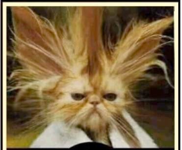 Cazalineuk's profile picture. Science teacher. North West