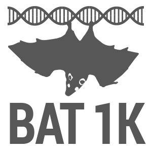 BAT1K is an initiative to sequence the genomes of all extant bat species 🦇🧬

Header 📸 : B. Fenton 🦇

-account is managed by our project coordinator Meike
