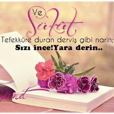 Zahraa_085's profile picture. 