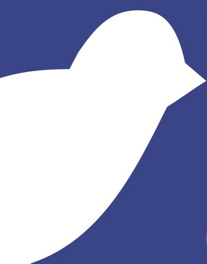 bluebirdtshirts's profile picture. Uma grife nova, criando seu nome.