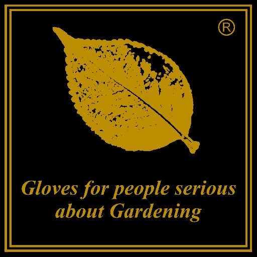 Gold Leaf Gloves