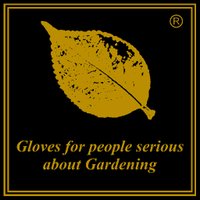 Gold Leaf Gloves (@goldleafgloves) 's Twitter Profile Photo Gold Leaf Gloves (@goldleafgloves) 's Twitter Profile Photo