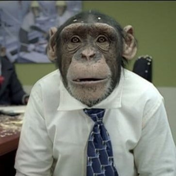 Proving the infinite monkey theorem on a daily basis...