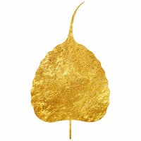 The Cinnamon Club (@cinnamonclub) 's Twitter Profile