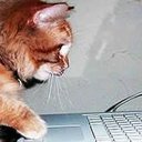 gh - @michael_primmer - Twitter