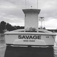 Savage Fishing (@savagefishing15) 's Twitter Profile