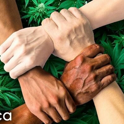 Cuenta en apoyo de la #UnionCannabica por la #LeyCannabisYa #AutocultivoOBarbarie