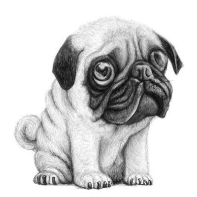 richins_michael's profile picture. 