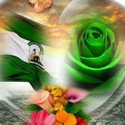 ppablopg's profile picture. 