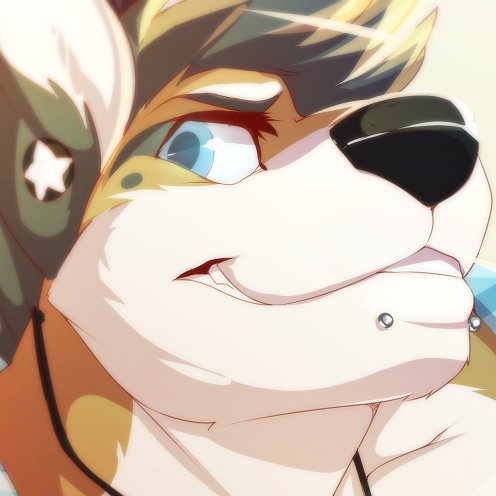 🔞 18+ only 🔞 Minors DNI · 🦦 Otter dog dude · Wiggles and Barks · He/Him · 33 · Demi · Single · INFJ-T · Will post and retweet NSFW
https://t.co/X6LyUa5R9b