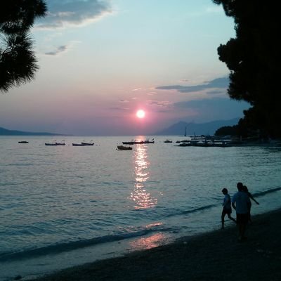 potsbew's profile picture. 