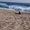 bryn williams - @yes_no_maybe_1 - Twitter