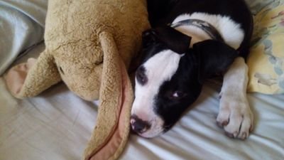 eiri1010's profile picture. 