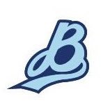 Blueprint Baseball(@BlueprintBBall_) 's Twitter Profileg