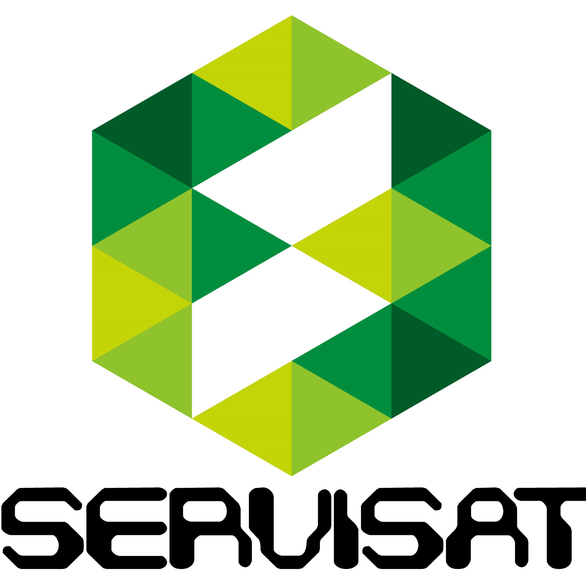SERVISAT
Ofrecemos servicios informáticos profesionales a empresas.