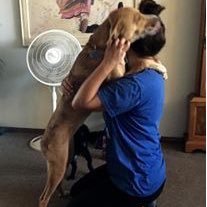 RadPetSitting's profile picture. 🐾Pet Sitter | Sarah Cornett | 🐕 mom of 2 | Forget Kennels, your beloved Pet(s) CAN stay in the comfort/safety of home! #Walks #DropInVisits #OvernightStays