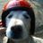 morutaro's profile image