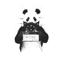 rochaser (@rochaser1967) 's Twitter Profile Photo