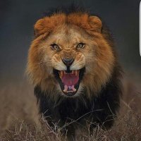 E. P. K (@elizekoylaras) 's Twitter Profile Photo