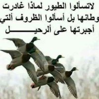 basheeraljanabi (@bbbbsssshhhhh) 's Twitter Profile