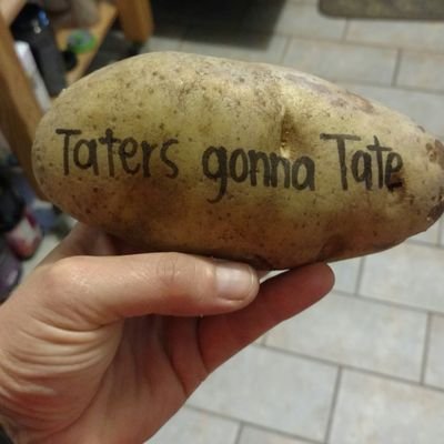 thisandthatnj's profile picture. Last week I had the strangest dream where everything was exactly how it seemed. 🏳️‍🌈📚