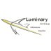 Luminary Air Group (@LuminaryAir) Twitter profile photo