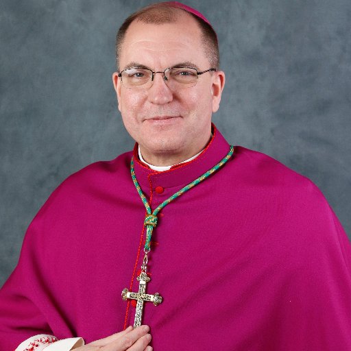 The official twitter account for Bishop John O. Barres of the Diocese of Rockville Centre. 

Other accounts are not those of the Diocese or Bishop Barres.