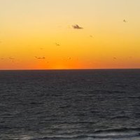 Papa Ice (@papaice1950) 's Twitter Profile Photo