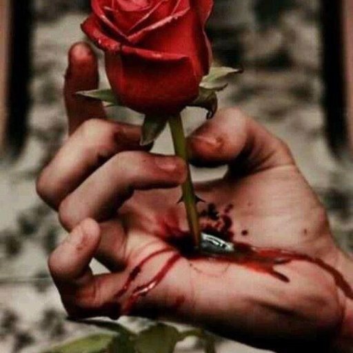 I gift my lady roses, so that she may give me the thorns.