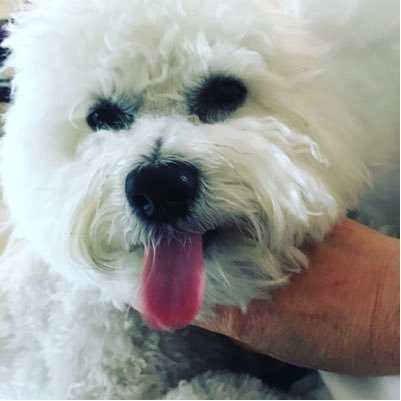 shellysrogers's profile picture. Daughter Sister Mom Grandmom & bleeding heart LIBERAL