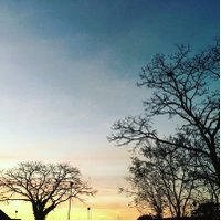 S E (@siedgloucs) 's Twitter Profile