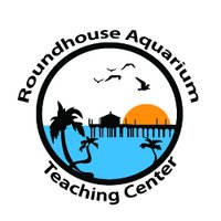 Roundhouse Aquarium(@RoundhouseMB) 's Twitter Profile Photo