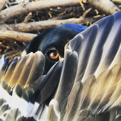 Miss_kdbee's profile picture. 