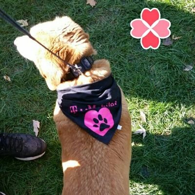 @kimberly_gage