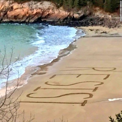 scboston888's profile picture. Democrat , USMC, Patriot, Country over Party if not you're a traitor ! #TheResistance. #UniteBlue #SaveTheElephants