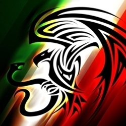 411Mexico's profile picture. 