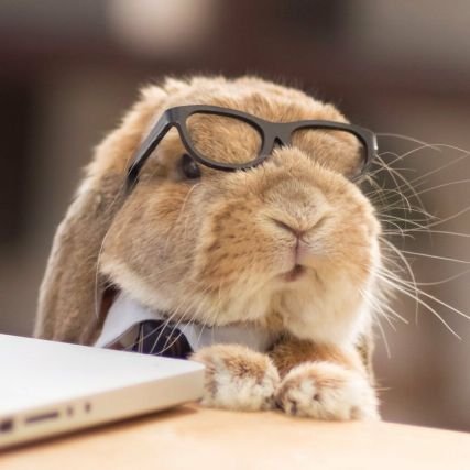 jamesawesome's profile picture. The last of the great Lagomorphic hackers. Non-Binary, he/him. Fuck your startup.