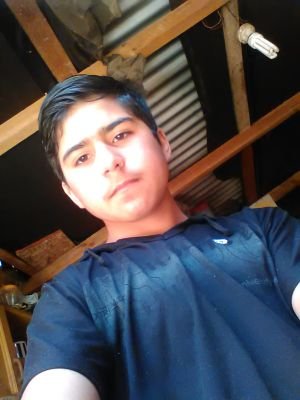 JavierPradenas4's profile picture.