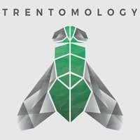Trentomology(@Trentomology) 's Twitter Profile Photo