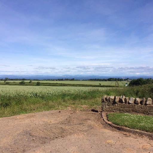 dnelson727's profile picture. 