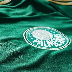 Perfil criado para acompanhar notícias sobre Futebol, principalmente sobre o Palmeiras! ☝