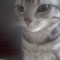 알렉스 A.K.A. Mr.R (@beastfromsunday) 's Twitter Profile