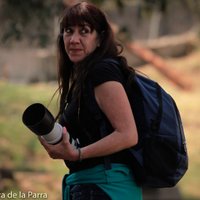 Dora Lazcano (@vaquitaproduc) 's Twitter Profile